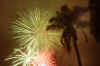 Fireworks3.jpg (95756 bytes)