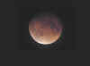 LunarEclipseNovember82003.jpg (51282 bytes)